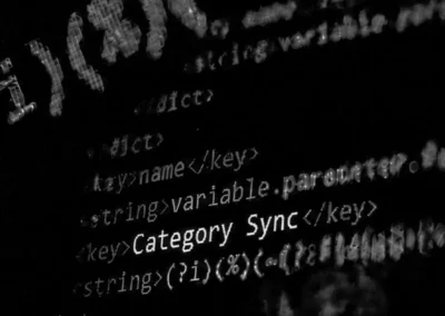 YBO Category Sync